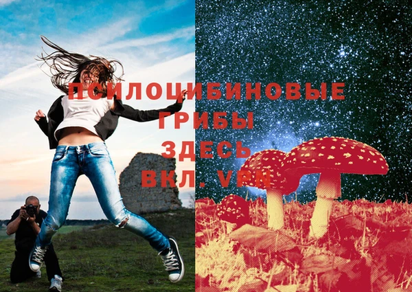прущая мука Заводоуковск