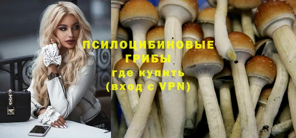 прущая мука Елизово